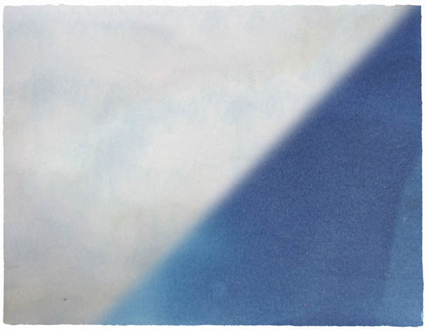 Carolyn Lambert's cyanotype from the After Image series