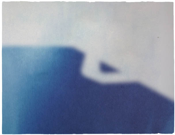 Carolyn Lambert's cyanotype from the After Image series